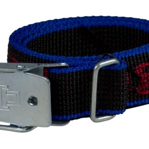 Strap